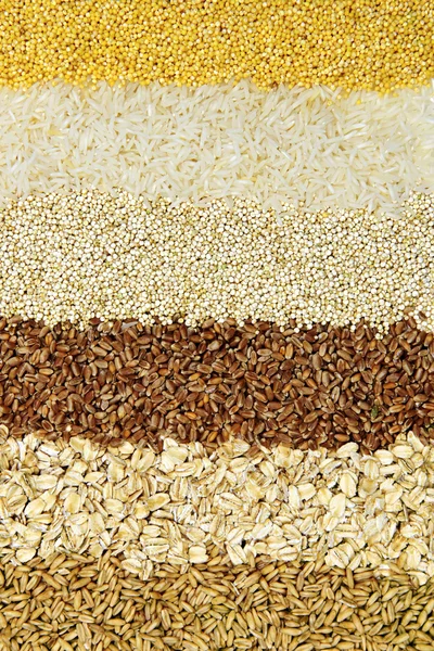 Vari cereali da vicino — Foto Stock