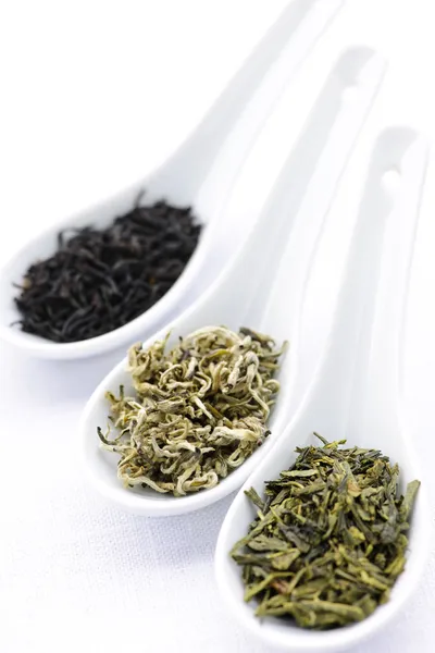 Surtido de hojas de té secas en cucharas — Foto de Stock