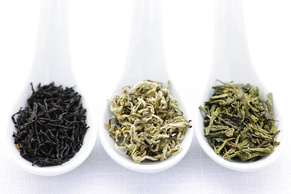 Sortimento de folhas de chá secas em colheres — Fotografia de Stock