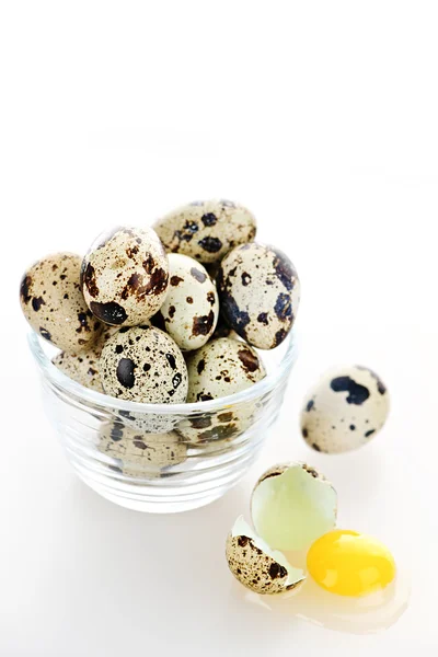 Uova di quaglia — Foto Stock