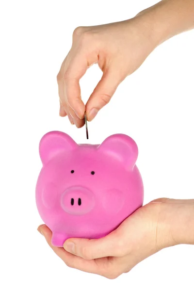 stock image Hand putting coin in piggy bank