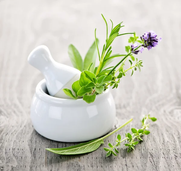 Healing herbs in mortar and pestle — Stock Photo, Image
