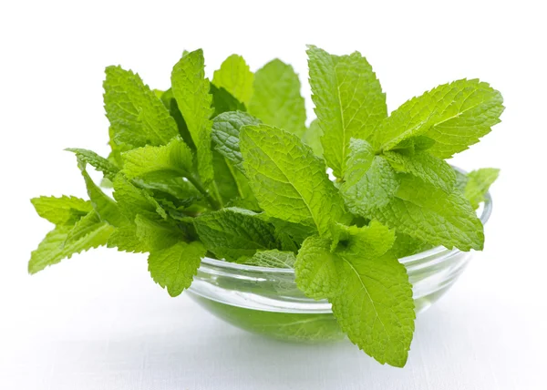 Mint sprigs in bowl — Stock Photo, Image