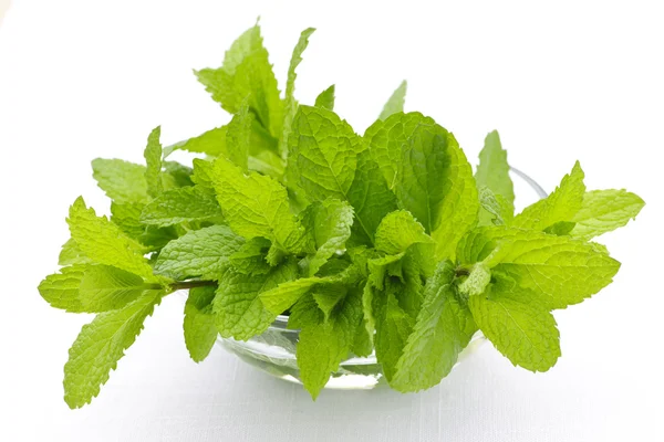 Mint sprigs in bowl — Stock Photo, Image