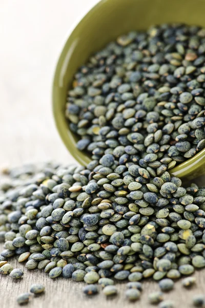 Bowl of uncooked French lentils — Stock Photo, Image