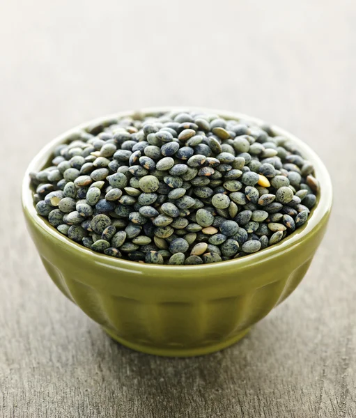 Bowl of uncooked French lentils — Stock Photo, Image