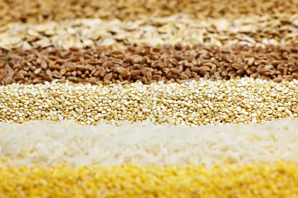 様々 な穀物をクローズ アップ — ストック写真