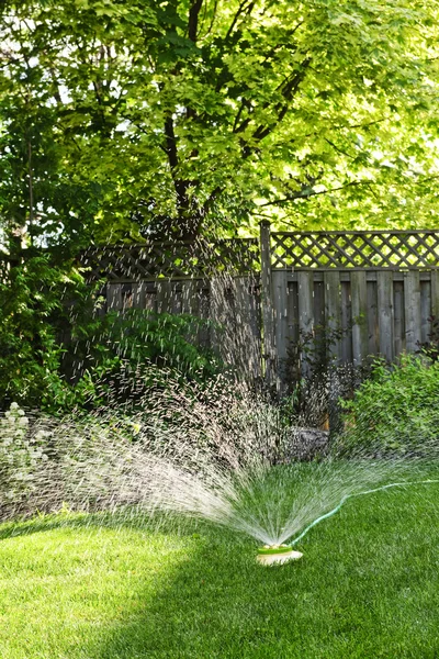 芝生のスプリンクラーが芝生に水をまく — ストック写真