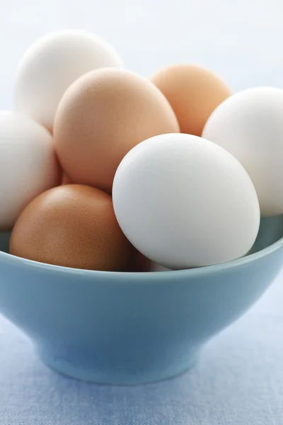 Eieren in schaal — Stockfoto