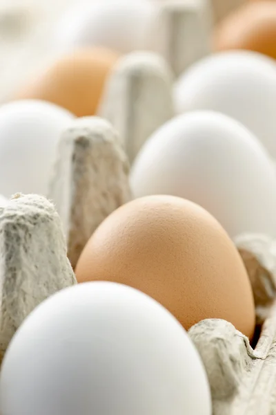 Яйца в картоне — стоковое фото