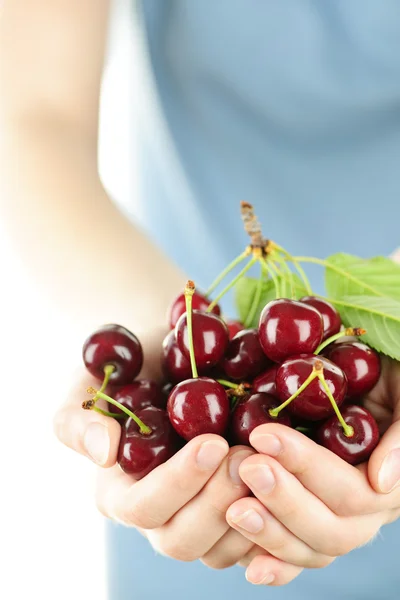 Hands holding bunch of cherries — Stock Photo, Image