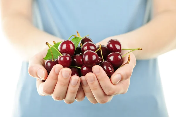 Hands holding bunch of cherries — Stock Photo, Image
