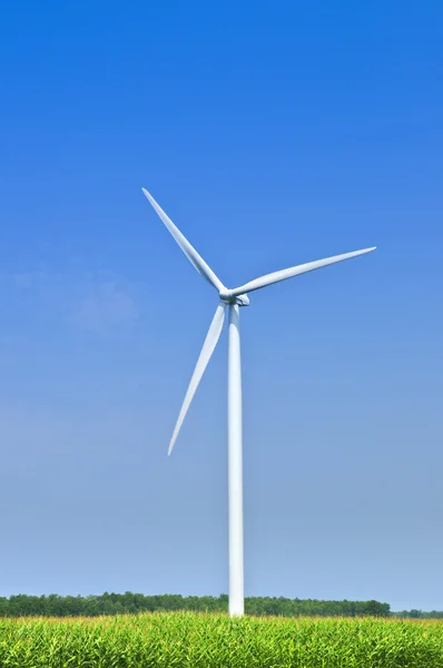 Ветряная турбина в поле — стоковое фото