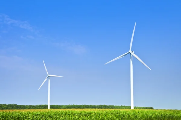 Windturbines in het veld — Stockfoto