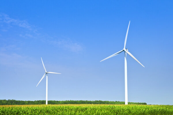 ветряные турбины в поле