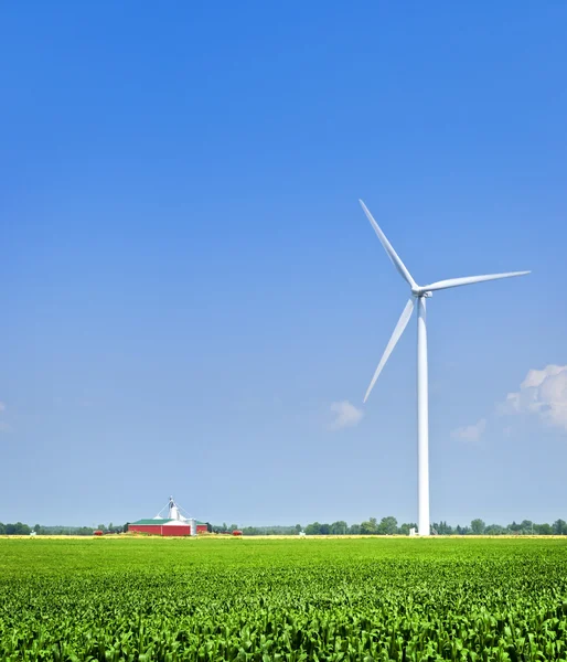 Turbina eólica em campo — Fotografia de Stock