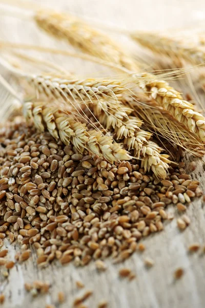 Noyaux de blé à grains entiers gros plan — Photo