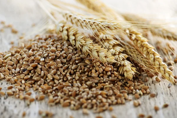Grãos integrais grãos de trigo close-up — Fotografia de Stock