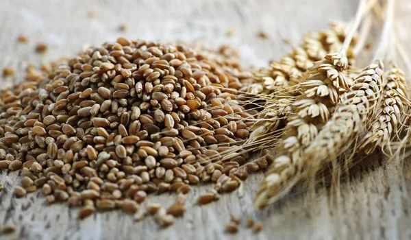 Whole grain wheat kernels closeup — Stock Photo, Image