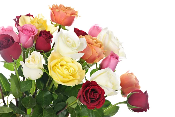 Bouquet di rose — Foto Stock