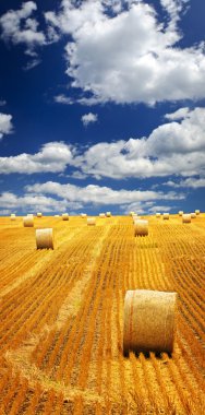 Farm field with hay bales clipart