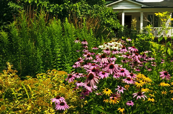 住宅花园景观美化 — 图库照片