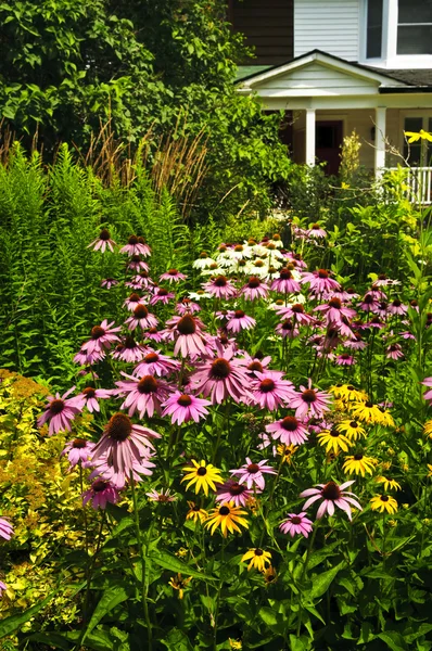 Residential garden landscaping — Stock Photo, Image