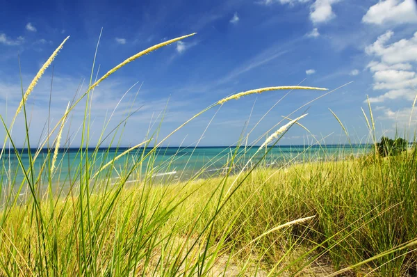 Sand dunes at beach — Stock Photo, Image