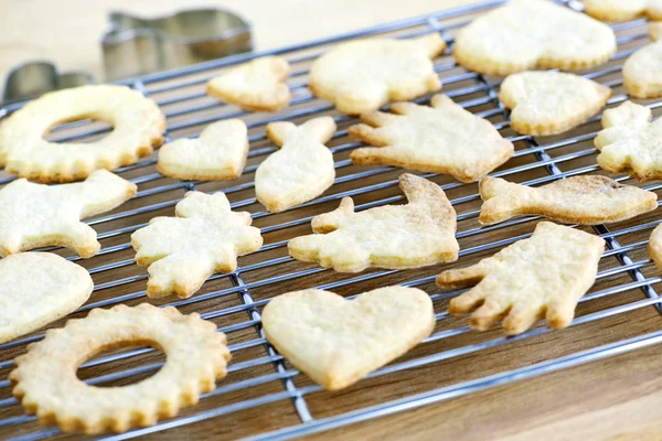 Enfriamiento de galletas recién horneadas — Foto de Stock