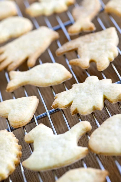 Kylning nymalen bakade cookies — Stockfoto