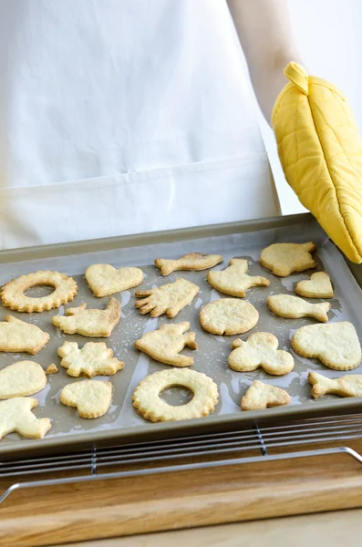 Biscuits fraîchement cuits — Photo