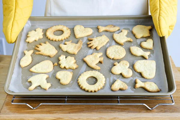 Biscoitos acabados de fazer — Fotografia de Stock
