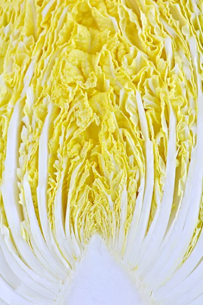 Çince lahana kafa closeup yarım dilimlenmiş — Stok fotoğraf