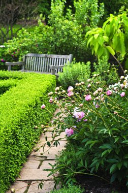 Lush green garden clipart