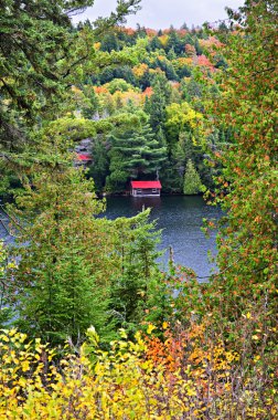 Fall forest and lake clipart