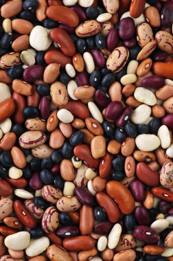 Dry beans clipart