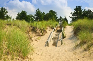 Wooden stairs over dunes at beach clipart