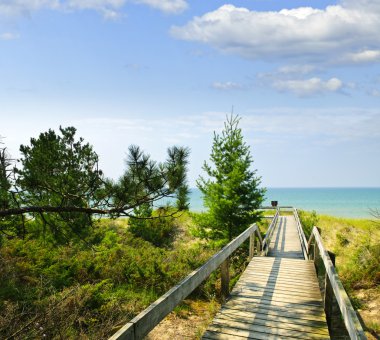 Wooden walkway over dunes at beach clipart