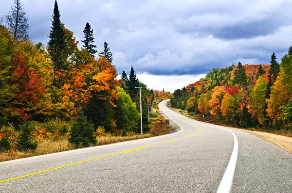 Fall highway — Stock Photo, Image