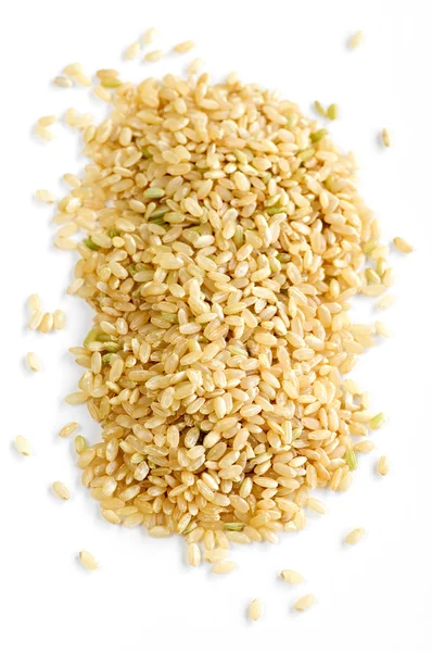 Krátká hnědá rýže — Stock fotografie