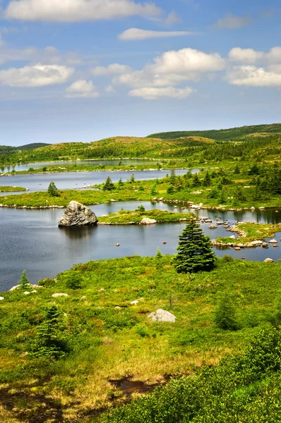 Oever van het prachtige meer in newfoundland — Stockfoto