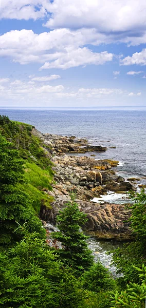 Атлантичне узбережжя Ньюфаундленду — стокове фото