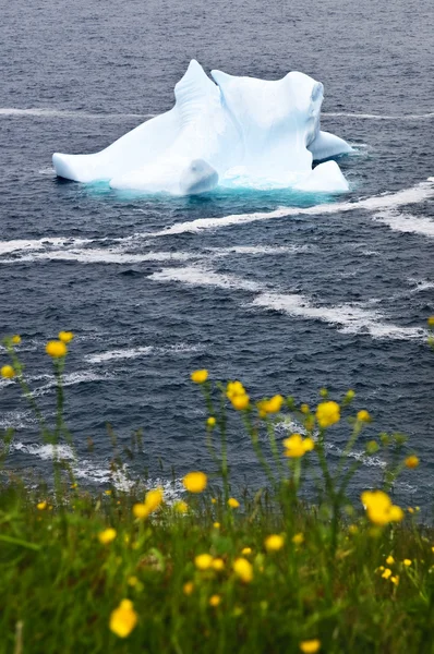 Iceberg en fusion — Photo
