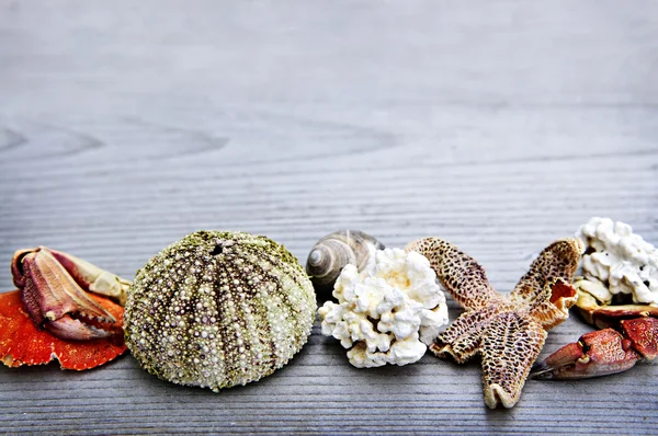 Sea treasures