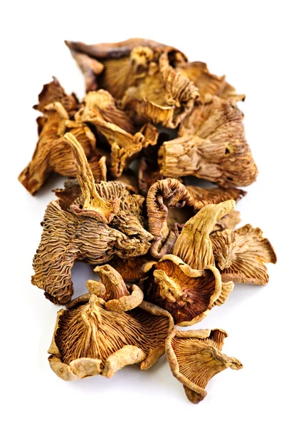 Dry chanterelle mushrooms — Stock Photo, Image