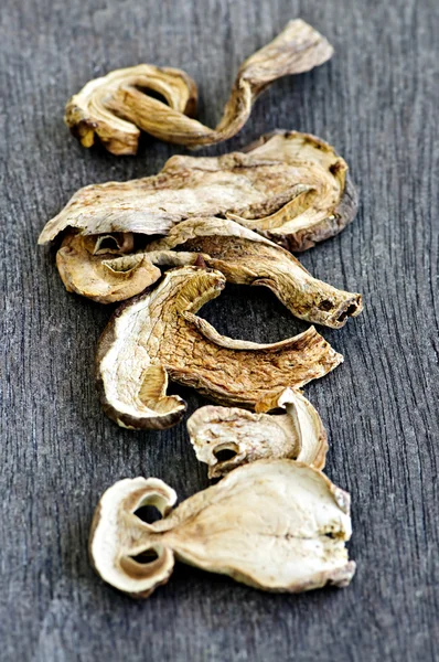 Dry porcini mushrooms — Stock Photo, Image