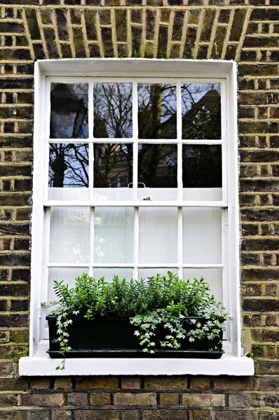 在伦敦的窗口 — 图库照片