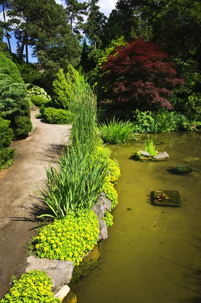 园景花园路径和池塘 — 图库照片