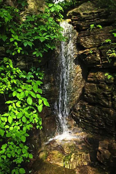 Waterval in bos — Stockfoto