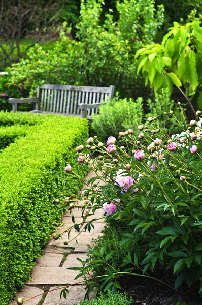Weelderige groene tuin — Stockfoto